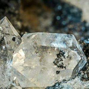 Meet your Posher, Gia